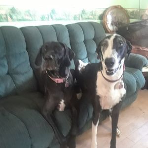 Meet your Posher, Rene